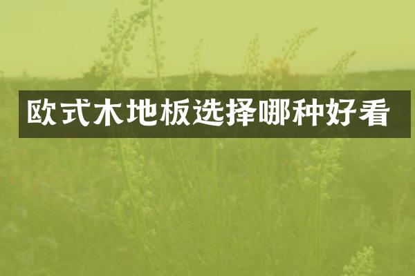 欧式木地板选择哪种好看