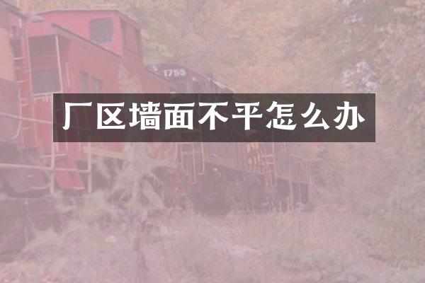 厂区墙面不平怎么办