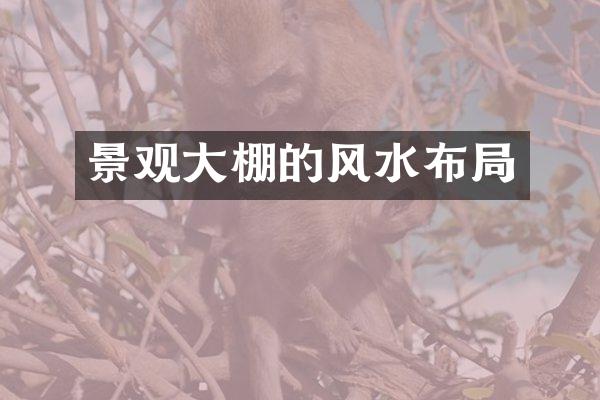 景观大棚的风水布局
