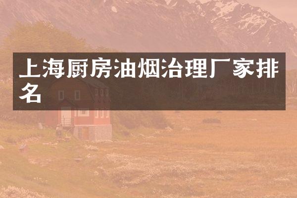 上海厨房油烟治理厂家排名