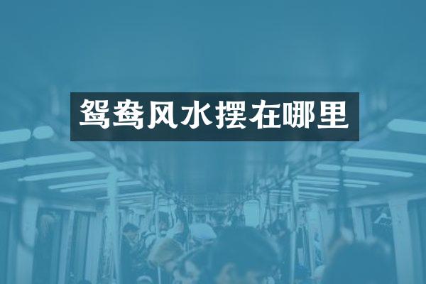 鸳鸯风水摆在哪里