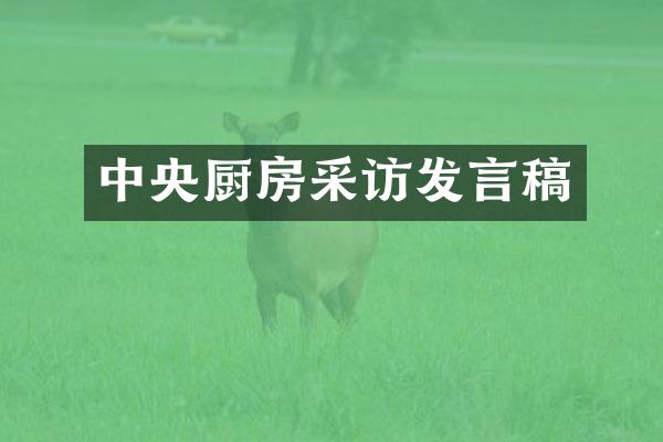 中央厨房采访发言稿
