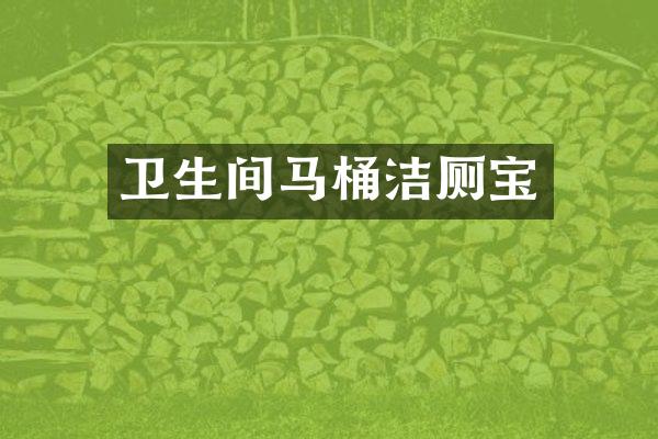 卫生间马桶洁厕宝