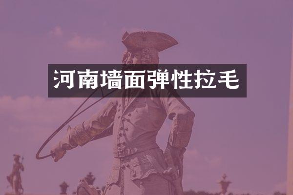 河南墙面弹性拉毛