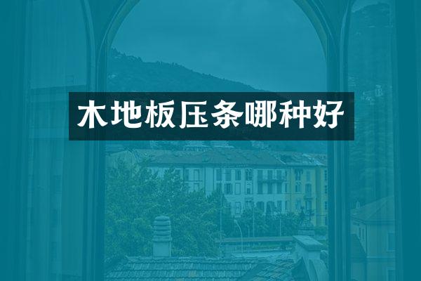 木地板压条哪种好