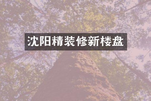 沈阳精装修新楼盘