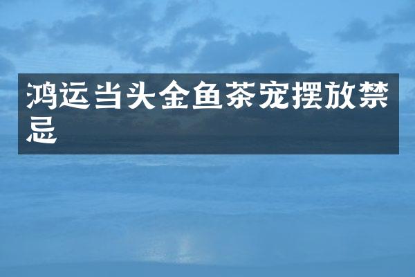 鸿运当头金鱼茶宠摆放禁忌
