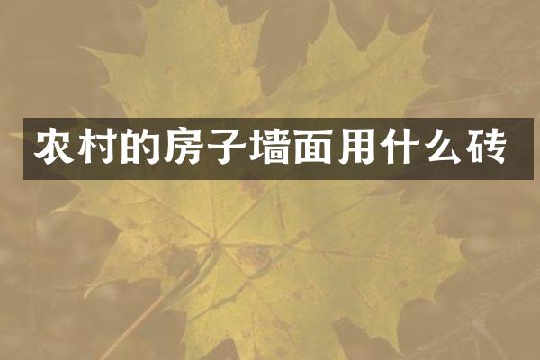 农村的房子墙面用什么砖