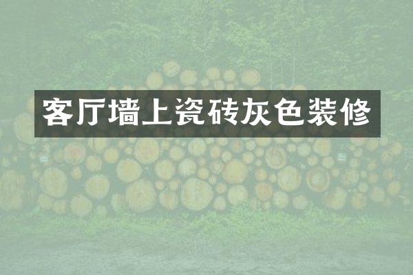 客厅墙上瓷砖灰色装修