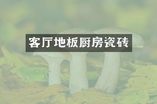 客厅地板厨房瓷砖