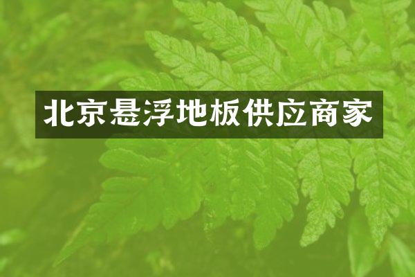 北京悬浮地板供应商家