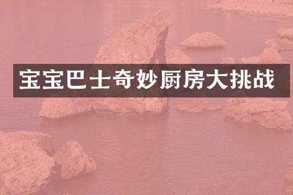 宝宝巴士奇妙厨房大挑战