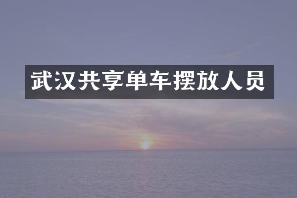 武汉共享单车摆放人员