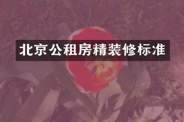 北京公租房精装修标准