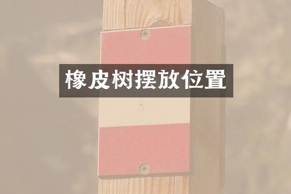 橡皮树摆放位置
