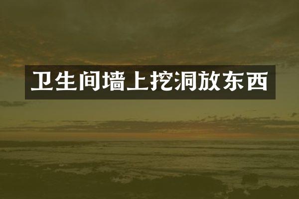 卫生间墙上挖洞放东西