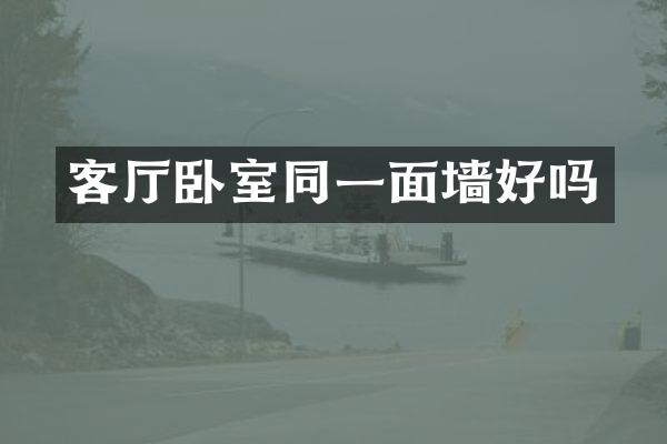 客厅卧室同一面墙好吗