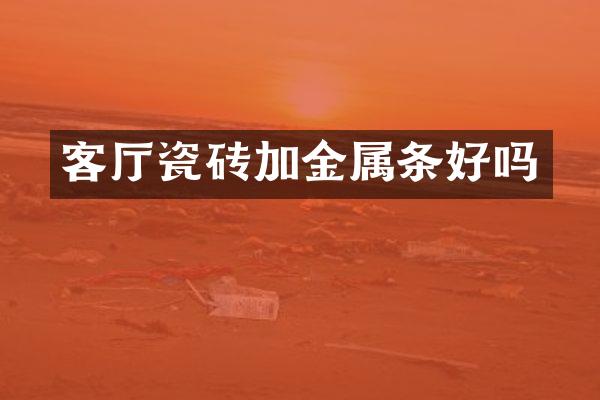 客厅瓷砖加金属条好吗