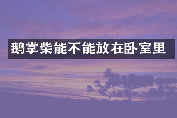 鹅掌柴能不能放在卧室里