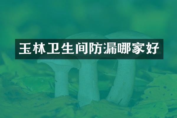 玉林卫生间防漏哪家好