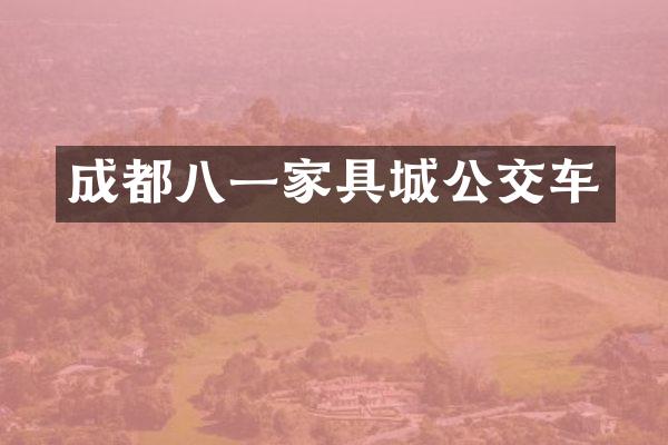 成都八一家具城公交车
