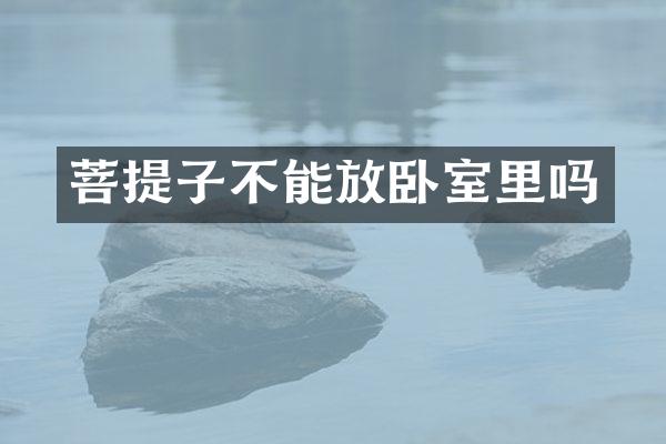 菩提子不能放卧室里吗