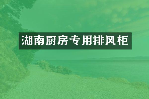 湖南厨房专用排风柜