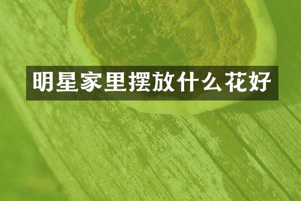 明星家里摆放什么花好