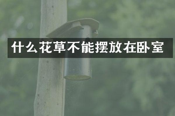 什么花草不能摆放在卧室