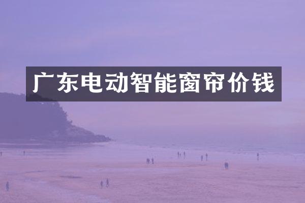 广东电动智能窗帘价钱