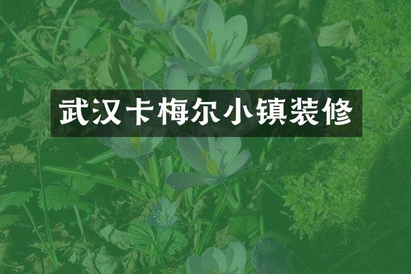 武汉卡梅尔小镇装修