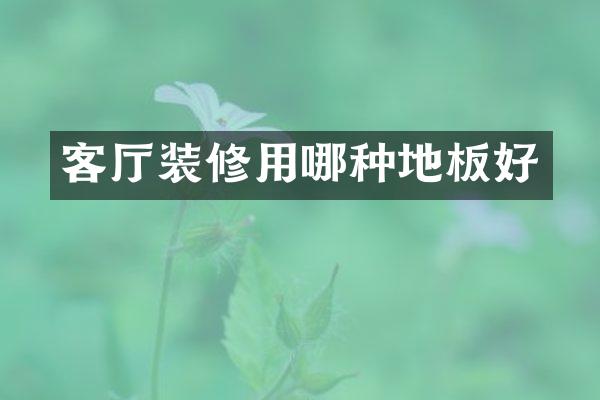 客厅装修用哪种地板好