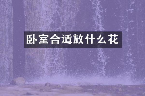 卧室合适放什么花