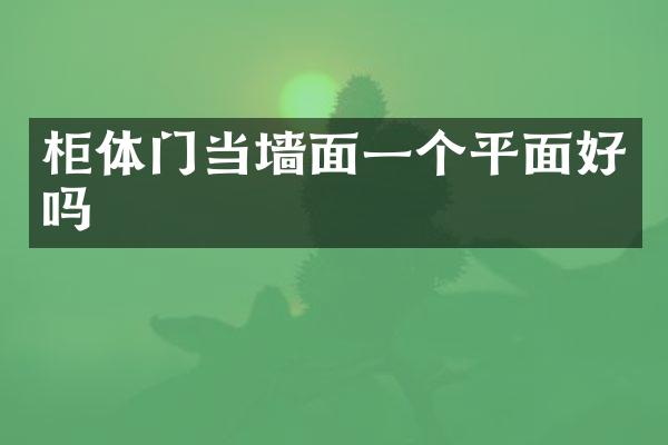 柜体门当墙面一个平面好吗