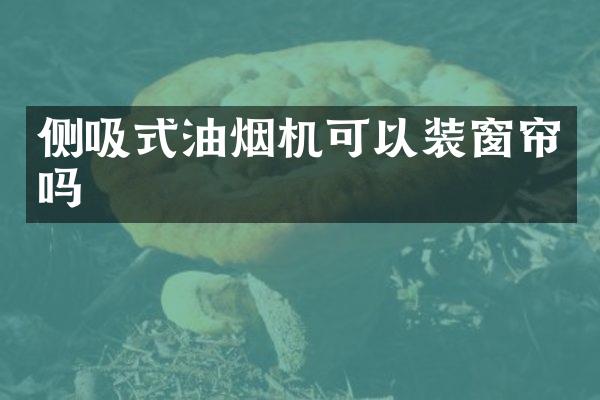 侧吸式油烟机可以装窗帘吗