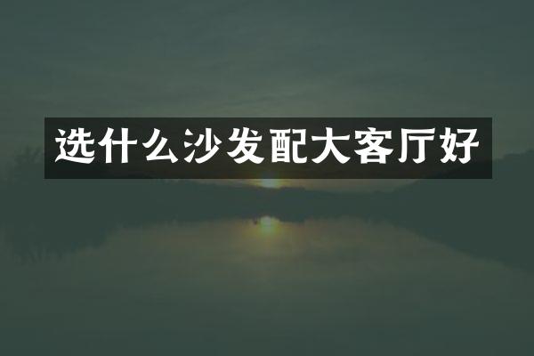选什么沙发配大客厅好