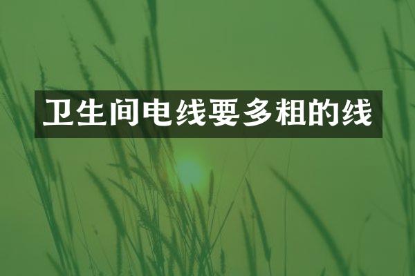 卫生间电线要多粗的线