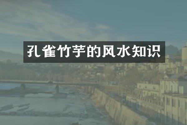 孔雀竹芋的风水知识