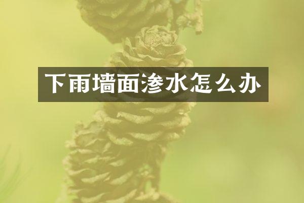 下雨墙面渗水怎么办
