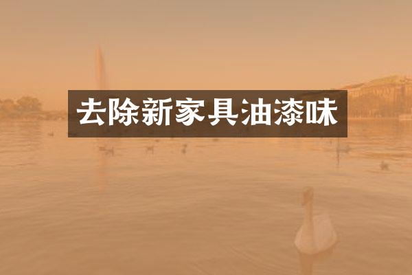 去除新家具油漆味