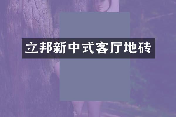 立邦新中式客厅地砖