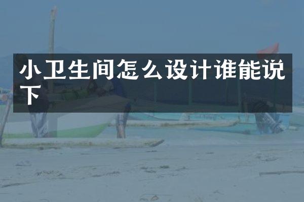 小卫生间怎么设计谁能说下