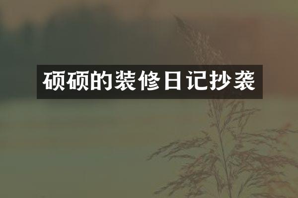 硕硕的装修日记抄袭