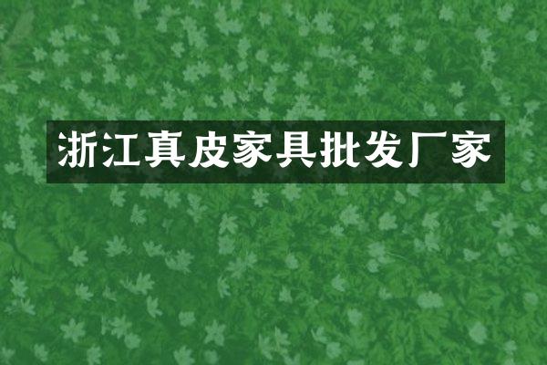 浙江真皮家具批发厂家