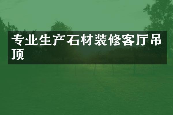 专业生产石材装修客厅吊顶
