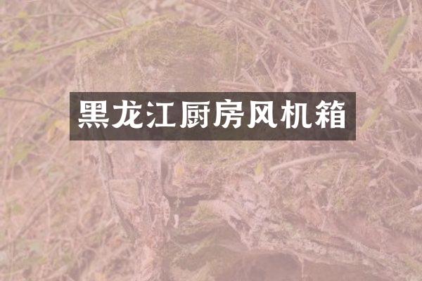 黑龙江厨房风机箱