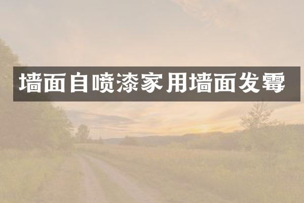 墙面自喷漆家用墙面发霉