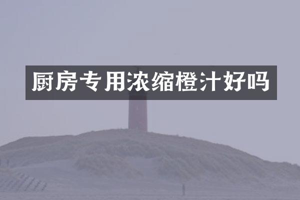 厨房专用浓缩橙汁好吗