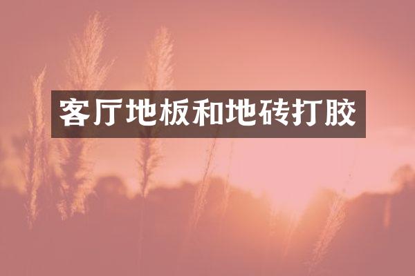 客厅地板和地砖打胶