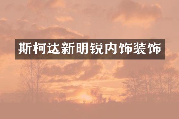斯柯达新明锐内饰装饰